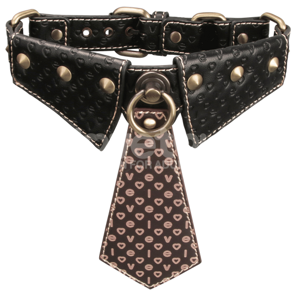 Collar & Leash