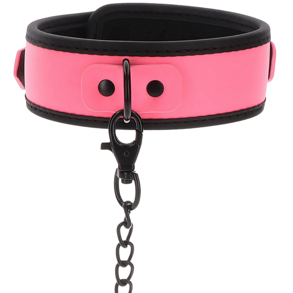Glow Collar and Chain Leash