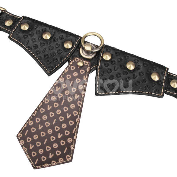 Collar & Leash